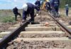 Por trabajos, modificaciones en Brandsen para los servicios de trenes