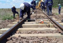 Por trabajos, modificaciones en Brandsen para los servicios de trenes